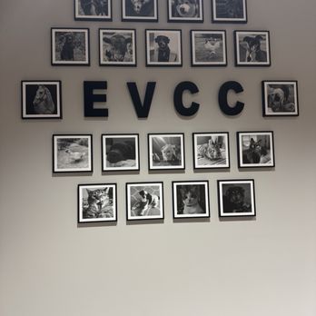 Emergency Veterinary Care Centers - Veterinarians Near Me - Holland, Michigan
