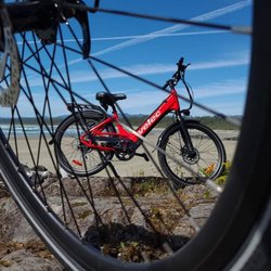 Tbird Ebikes