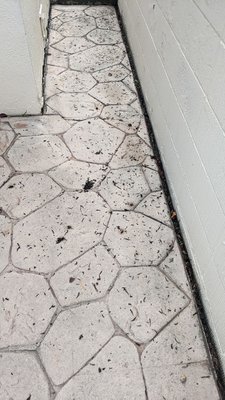 VALLEY WINDOW & GUTTER CLEANING - Updated January 2025 - 15 Photos & 32