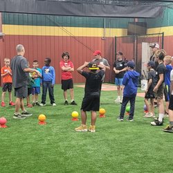 D-BAT Summerville