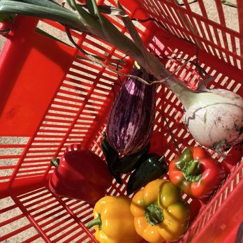 Mortimer Farms - Veggie harvest - Attraction Farms Near Me - Dewey, Arizona Mortimer Farms - Veggie harvest - Attraction Farms Near Me - Dewey, Arizona