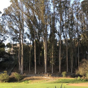 Glen Park Playground - Gum trees - Playgrounds Near Me - San Francisco, California Glen Park Playground - Gum trees - Playgrounds Near Me - San Francisco, California