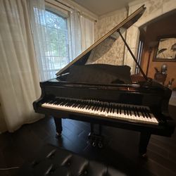 Piano Outlet