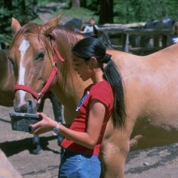 High Country Outfitters - Personal interaction with your own horse for an entire week!