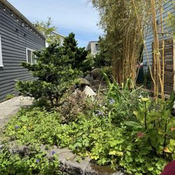 South Whidbey Commons - Garden