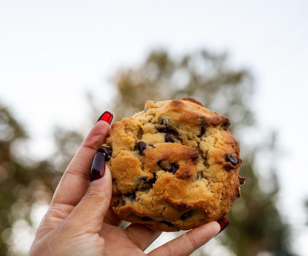 Sugar Bean Cakes Logo