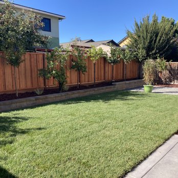 Living Landscape Design - Landscape Architects or Designers Near Me