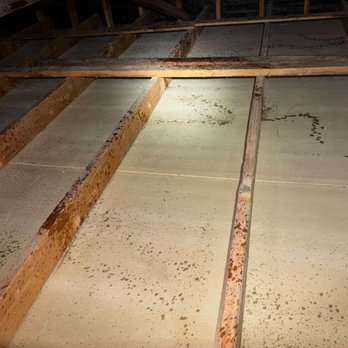 911 Attic Insulation - Attic after cleanup - Insulation Installation Near Me - San Jose, California