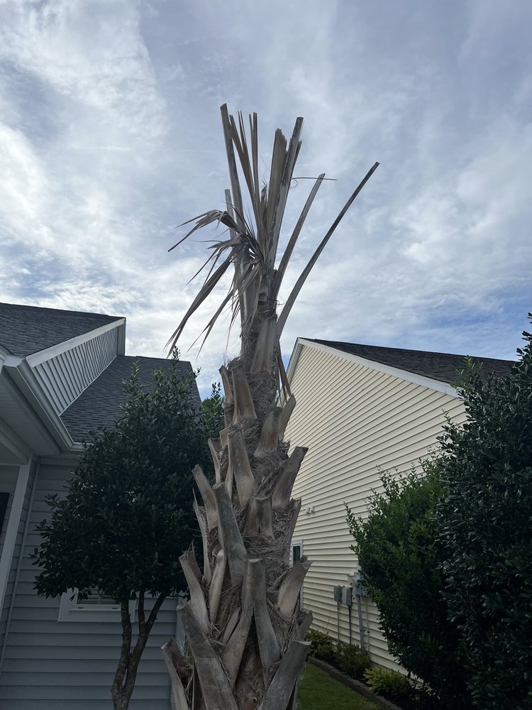 MULCH BUCKET Updated August 2024 11 Reviews 384 Hospitality Ln