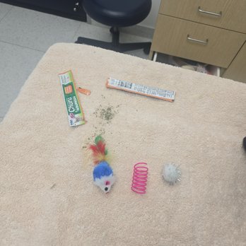Southpaw Vets - The catnip, treats, and toys the vet had for Shiva. - Veterinarians Near Me - Sherman Oaks, California Southpaw Vets - The catnip, treats, and toys the vet had for Shiva. - Veterinarians Near Me - Sherman Oaks, California