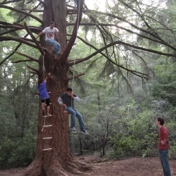 Tree 9 - Local Flavor Near Me - Santa Cruz, California