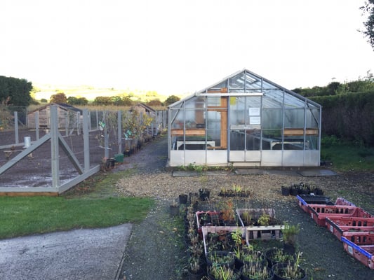 Llangoed Hall Hotel by null