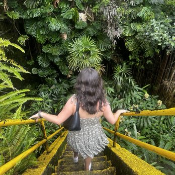 Kaumana Caves - Stairs down to the caves. - Parks Near Me Kaumana Caves - Stairs down to the caves. - Parks Near Me