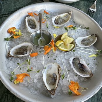 Gala - Happy Hour Oysters $2.50 Each - Spanish Near Me - Santa Barbara, California