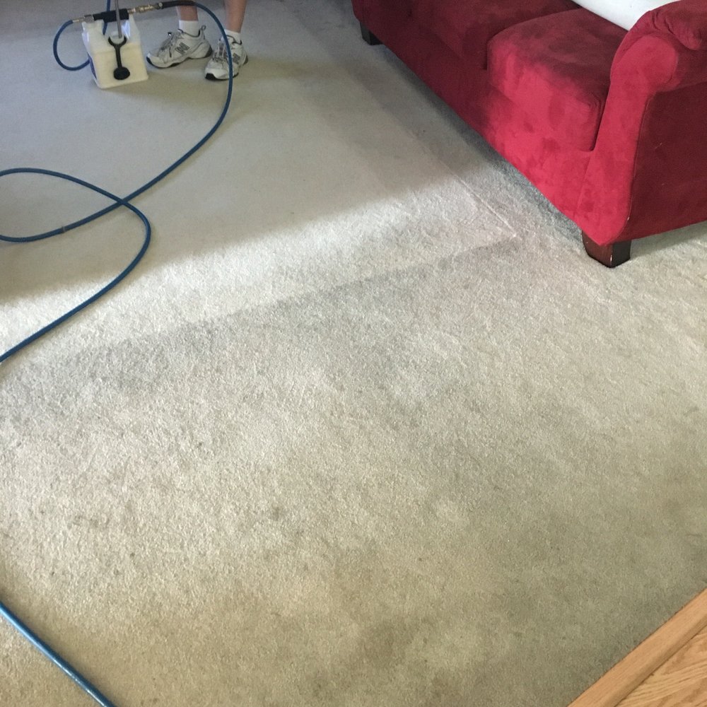 True Care Carpet Cleaners - Before - Carpet Cleaning Near Me - Jonesboro, Georgia True Care Carpet Cleaners - Before - Carpet Cleaning Near Me - Jonesboro, Georgia