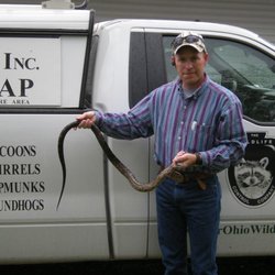 The Wildlife Control Company
