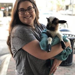 Tiny Hooves Rescue and Petting Zoo