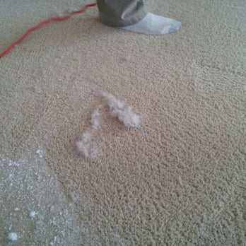 Carpet Dryclean - Cleaning results - Carpet Cleaning Near Me - Raleigh, North Carolina