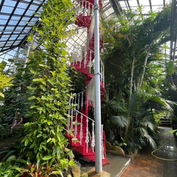 Glasgow Botanic Gardens - A cute spiral staircase in the middle of the greenhouse! - Parks Near Me - Glasgow, GLG