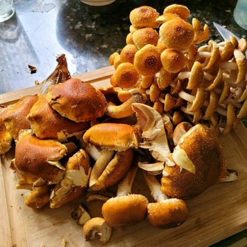 Mushrooms on Main - Look at these gorgeous chestnut mushrooms! - Specialty Food Near Me - Cambria, California Mushrooms on Main - Look at these gorgeous chestnut mushrooms! - Specialty Food Near Me - Cambria, California