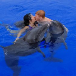 Dolphin Adventure