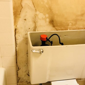 MD Restoration - What was underneath 43 year old bathroom wallpaper. - General Contractors Near Me - Honolulu, Hawaii MD Restoration - What was underneath 43 year old bathroom wallpaper. - General Contractors Near Me - Honolulu, Hawaii