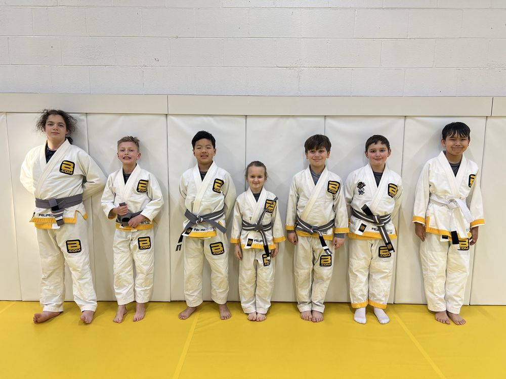 Brazilian Black Belt Academy  Logo