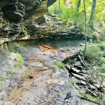 Monte Sano State Park - Small waterfall on McKay Hollow trail - Parks Near Me - Huntsville, Alabama