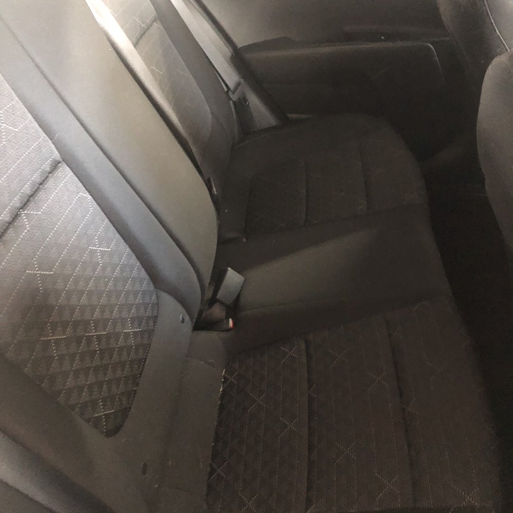Budget - "$200 worth of dog hair" - Car Rental Near Me - Orlando, Florida