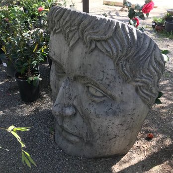 Bay Laurel Garden Center - Cool - Nurseries & Gardening Near Me - Atascadero, California Bay Laurel Garden Center - Cool - Nurseries & Gardening Near Me - Atascadero, California