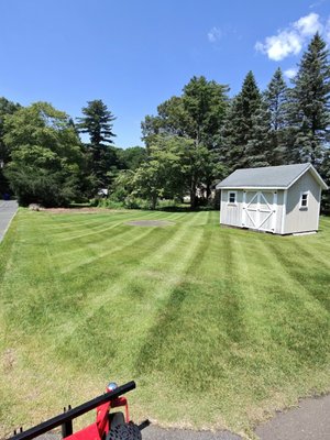 Lawn care Services - Get your lawns sharp all season! Lawn care Services - Get your lawns sharp all season!