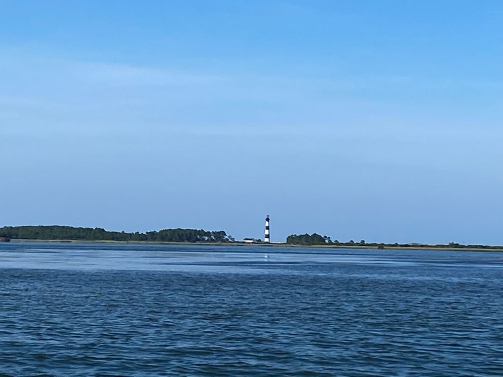 Nag's Head Dolphin Watch