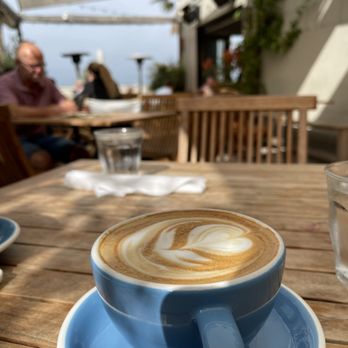 Fig Tree - Latte - Cafes Near Me - Los Angeles, California
