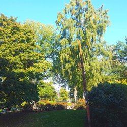 Tegnérlunden - Nice park
