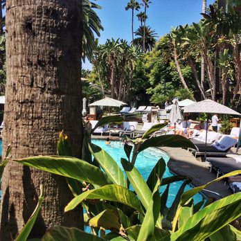 FIG Restaurant - Table view - Bars Near Me - Santa Monica, California FIG Restaurant - Table view - Bars Near Me - Santa Monica, California