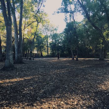 Pawmosa Dog Park - Dog playing area. Filled with mulch and leaves - Dog Parks Near Me - Casselberry, Florida