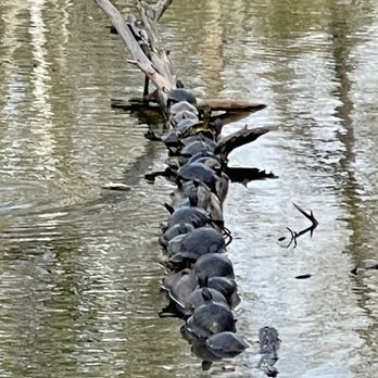 Meyer Park - Parks Near Me - Spring, Texas Meyer Park - Parks Near Me - Spring, Texas