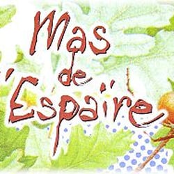 Hôtel le Mas de l'Espaire