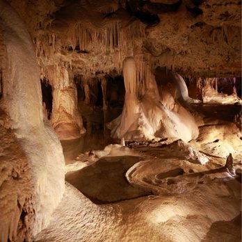 Inner Space Cavern - Tours Near Me - Georgetown, Texas Inner Space Cavern - Tours Near Me - Georgetown, Texas