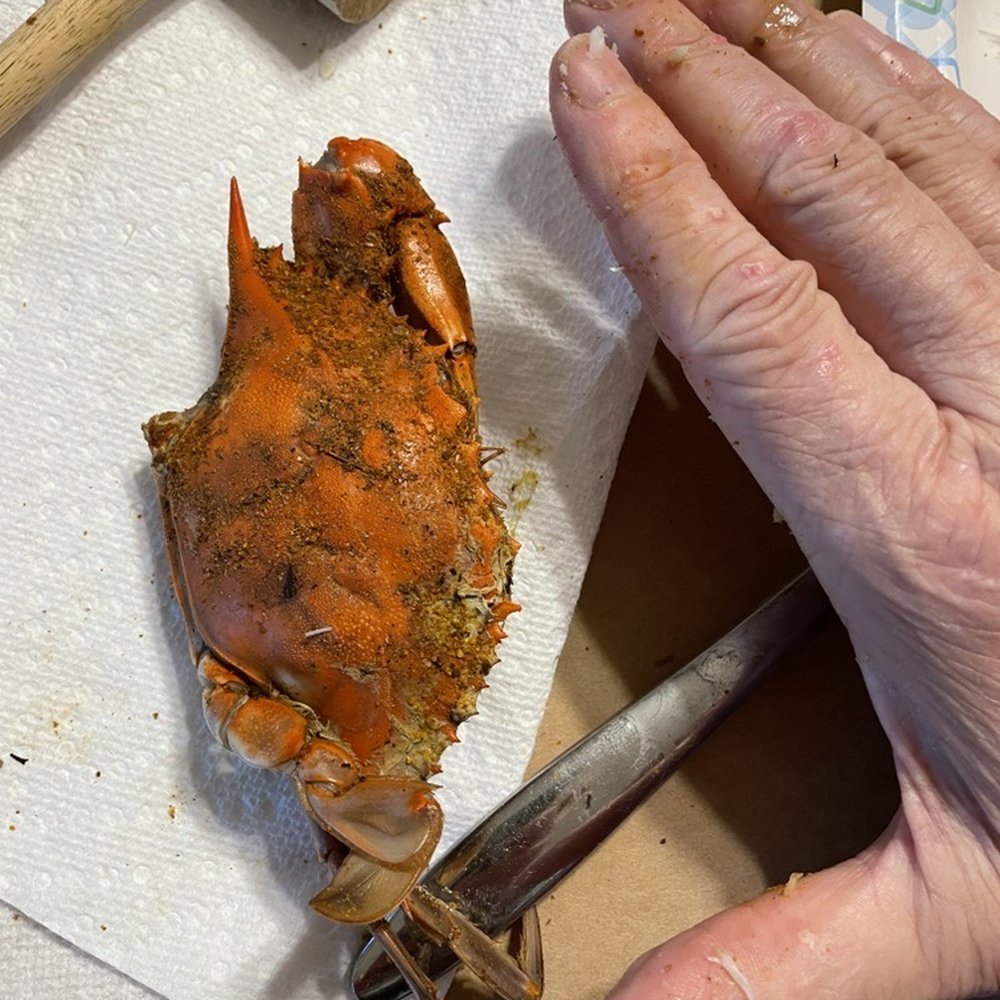 Falls hotel - Wait! Did we mention half the claws ended up in the bottom of the bushel? - Chicken Wings Near Me - York Haven, Pennsylvania Falls hotel - Wait! Did we mention half the claws ended up in the bottom of the bushel? - Chicken Wings Near Me - York Haven, Pennsylvania