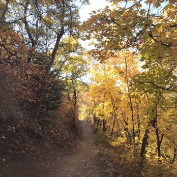 Mueller Park Trail - Fall colors - Hiking Near Me - Bountiful, Utah