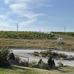 Junto Wine - Vineyard