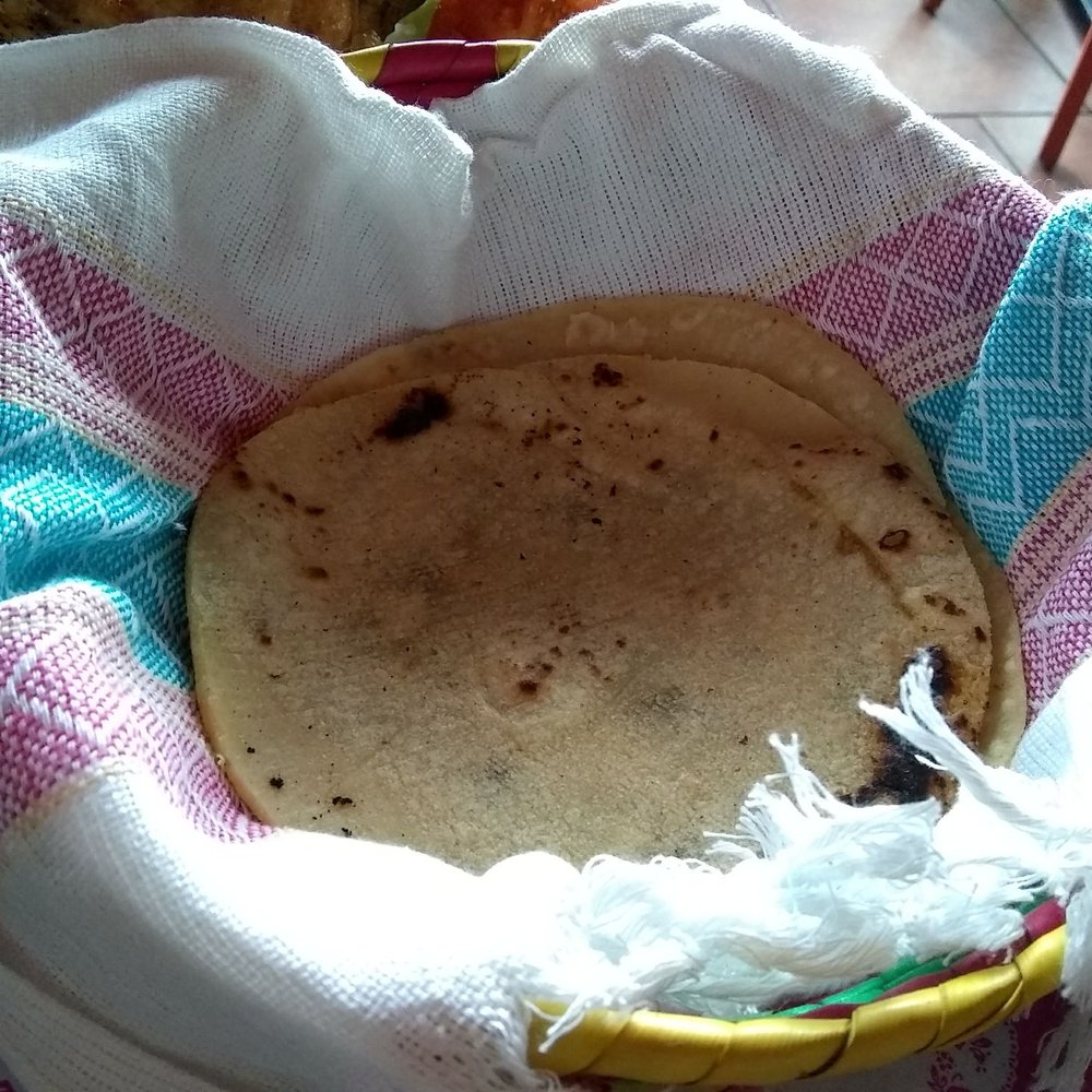 Casa México - Tortillas. - Mexican Near Me - Ottawa, Ontario