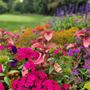 Photo of Fraserview Golf Course