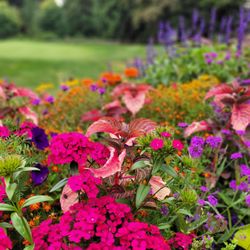 Fraserview Golf Course - Gardens