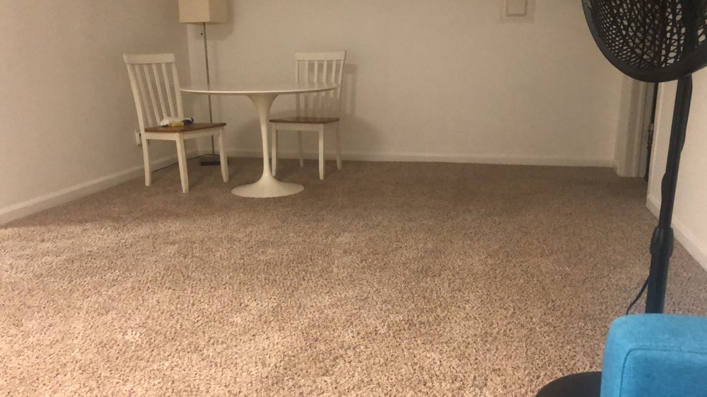 CARPET STAR Updated June 2024 11 Photos 595 Tonawanda St, Buffalo, New York Carpet