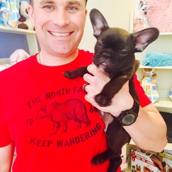 Heavenly Puppies - Our new baby! - Pet Stores Near Me - Boca Raton, Florida Heavenly Puppies - Our new baby! - Pet Stores Near Me - Boca Raton, Florida