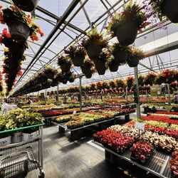 Westside Garden Center - Beautiful selection