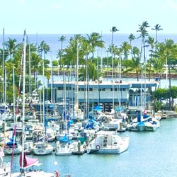 Ikaika Hawaii