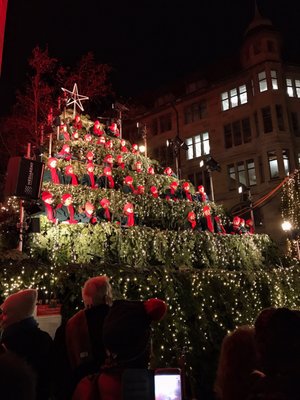 Singing Christmas Tree by null